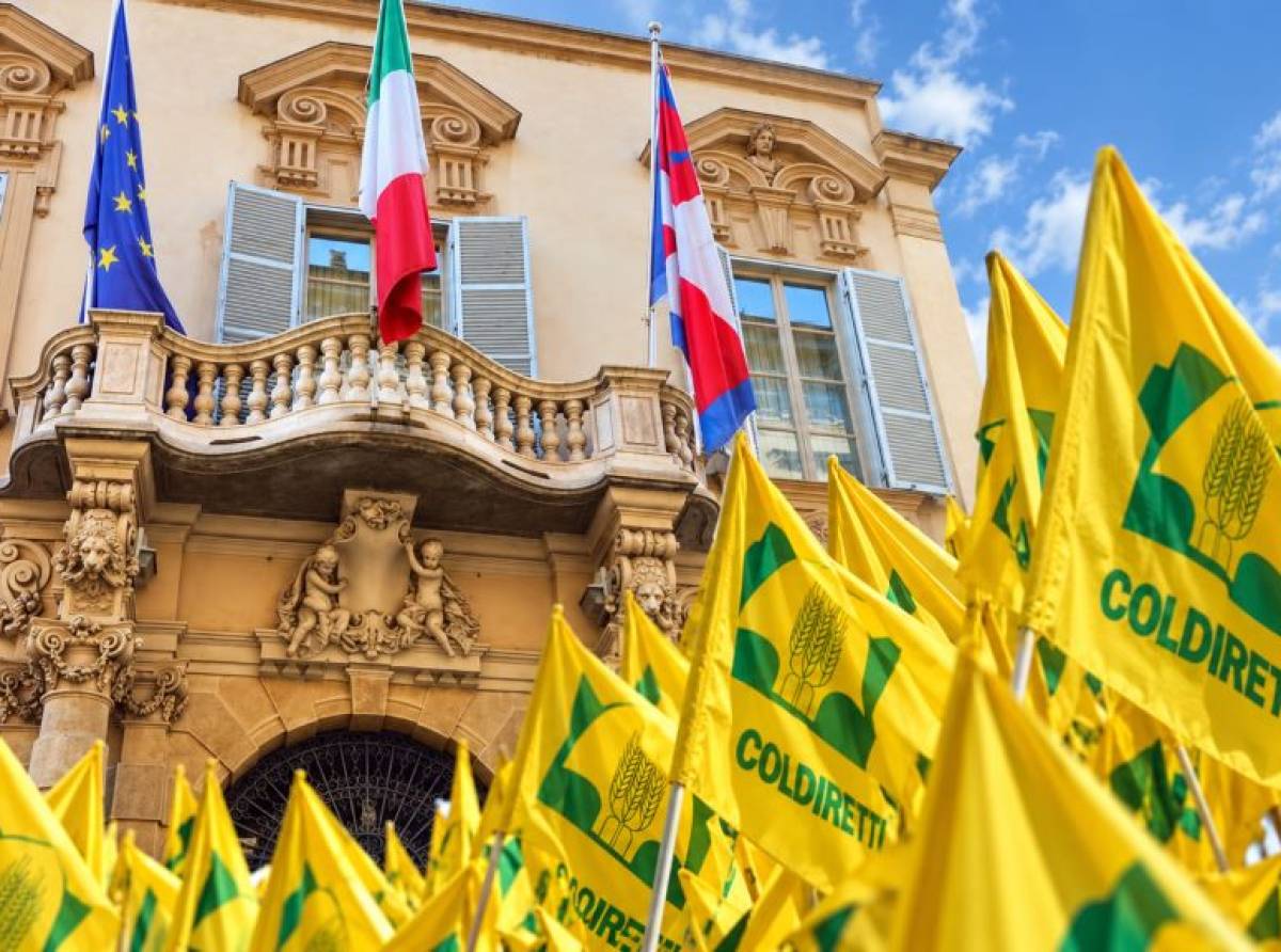 Agricoltori in protesta a Torino il 27 ottobre: Coldiretti porta in piazza la crisi delle imprese
